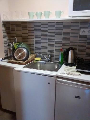 Una cocina o zona de cocina en Green Panda Apartments