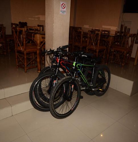 Jízda na kole v ubytování Hostal Puyo nebo okolí