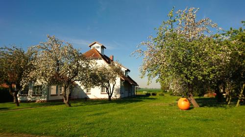an orange ball in the grass in front of a house at Pension Schwalbenhof in Klausdorf Mecklenburg Vorpommern