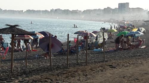Επισκέπτες που μένουν στο Estudio Caleta de Velez