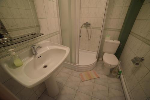 a bathroom with a sink and a shower and a toilet at Inkliuzas in Nida