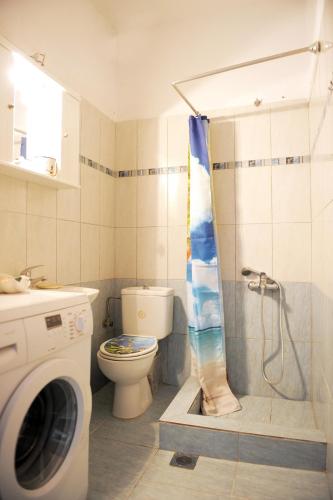a bathroom with a shower with a toilet and a washing machine at Dafni's Home 50 meters from the beach in Yerakiní
