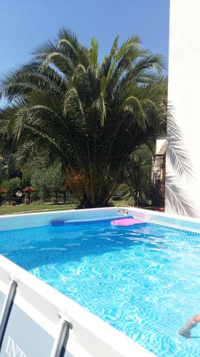 a large swimming pool with a palm tree in the background at Relax nella Natura in Bolano
