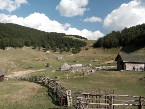 Gallery image of Eco Village Goles in Kolašin