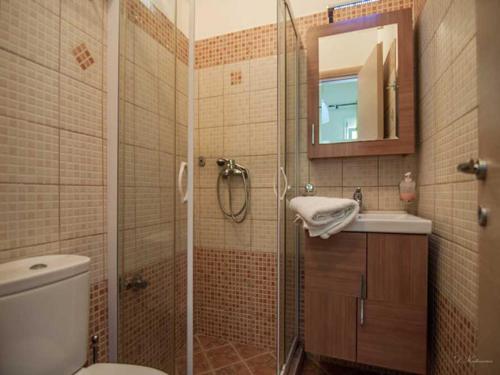 韋利卡的住宿－埃利公寓，带淋浴、卫生间和盥洗盆的浴室