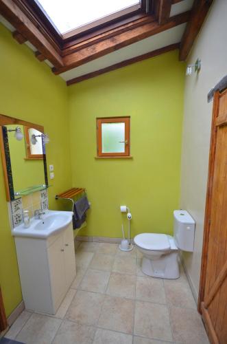 une salle de bain verte avec des toilettes et un lavabo dans l'établissement Joyeux, à Saint-Laurent-de-Céris