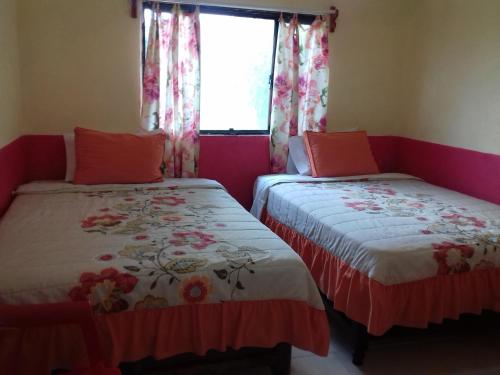 Gallery image of Hotel Economico in Xilitla
