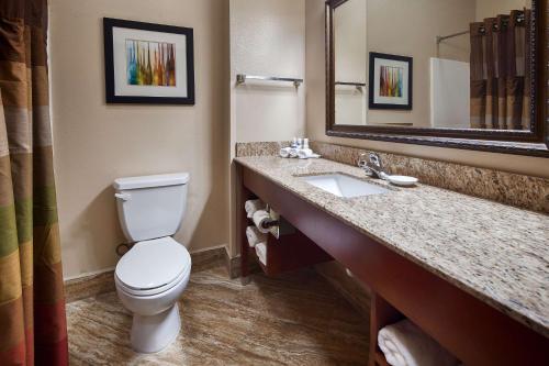 a bathroom with a toilet and a sink and a mirror at Best Western Plus Monahans Inn and Suites in Monahans