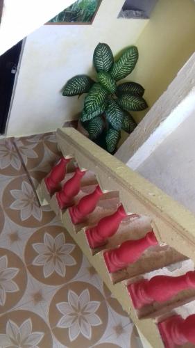 Gambar di galeri bagi Hotel Economico di Xilitla