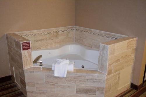 A bathroom at Best Western Wilsonville Inn & Suites