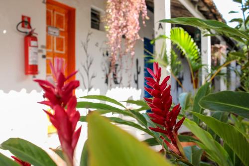 a group of red plants in front of a building at Vila Aju - Pousada Temática in Aracaju