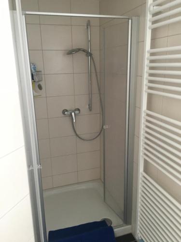 y baño con ducha y puerta de cristal. en Formella, en Eisenach