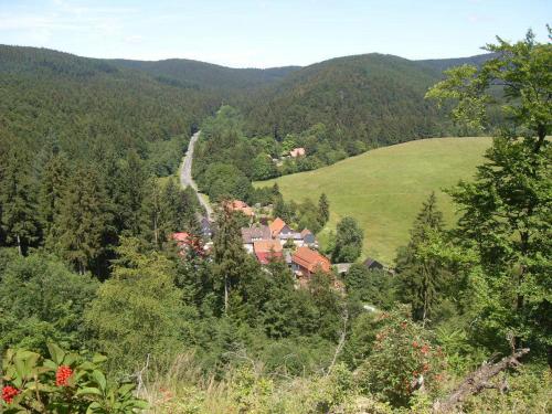 a house in the middle of a valley with trees at Gästehaus Bündge in Kamschlacken