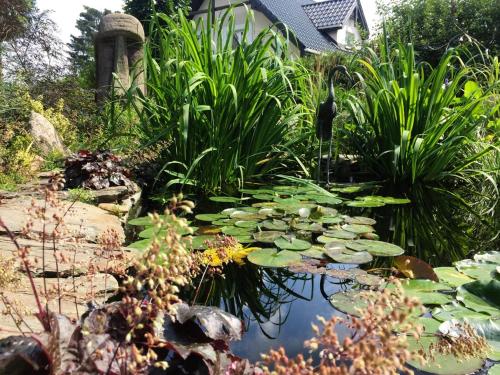 a pond with lily pads in a garden at Pensjonat Pod Orzechami in Magdalenka