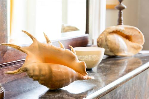 a wooden counter top with a shell on it at Préchac Park in Préchac