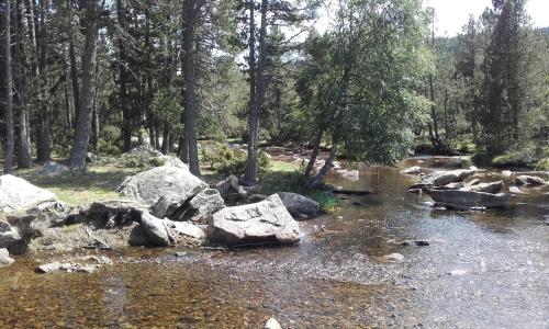 a stream of water with rocks in a forest at Résidence Le Pic de l'Ours in Font-Romeu