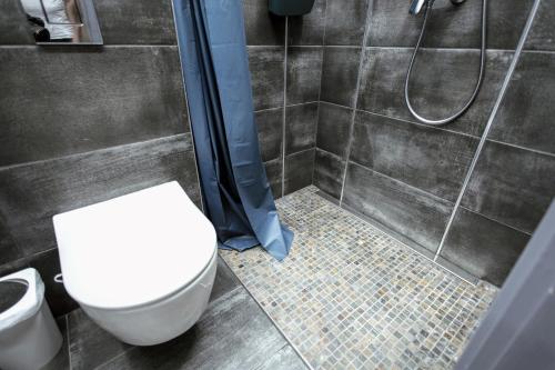 a bathroom with a toilet and a shower at SummerStreetSeven in Budapest