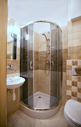 a bathroom with a shower with a sink and a toilet at Ośrodek Uzdrowiskowy Biawena in Wysowa-Zdrój