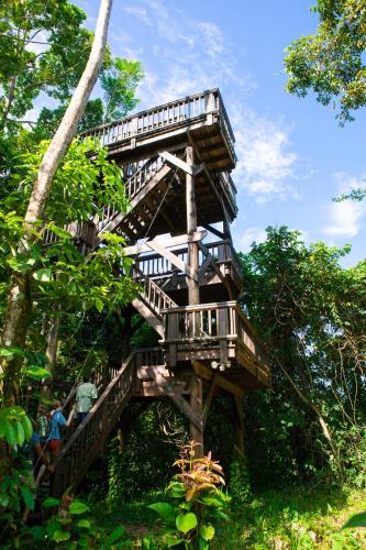 a tree house in the middle of the forest at The Lodge & Spa at Pico Bonito in El Pino