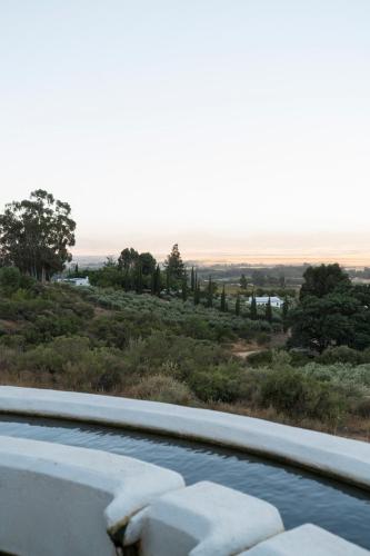 a swimming pool with a view of a field and trees at Kleinkloof Farm in Piketberg