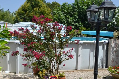 una cerca con flores rosas y un poste de luz en la PASSERONNE, en Barbentane