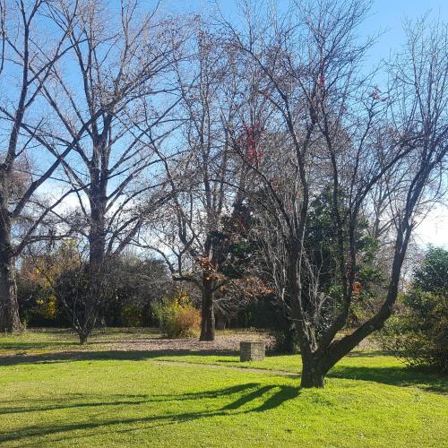 a tree in the middle of a green field at Hotel Agustin Garcia in Tigre