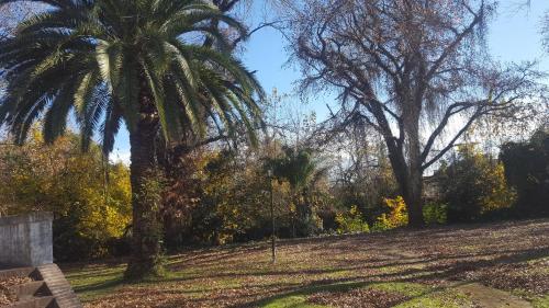 a palm tree and a bench in a park at Hotel Agustin Garcia in Tigre