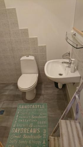 a bathroom with a toilet and a sink at Guest House Vidlauči in Skulte
