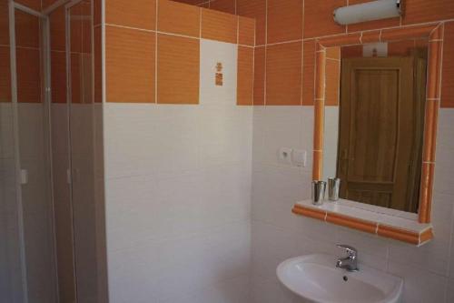 a bathroom with a sink and a mirror at Penzion Stara Fara in Makov