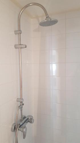 a shower with a shower head in a bathroom at vakantiehuis en appartement De Harscamp in Harskamp