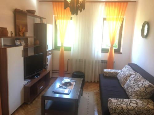 a living room with a couch and a coffee table at Apartment Andreja in Rakovica