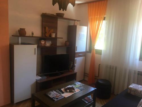 a living room with a refrigerator and a coffee table at Apartment Andreja in Rakovica