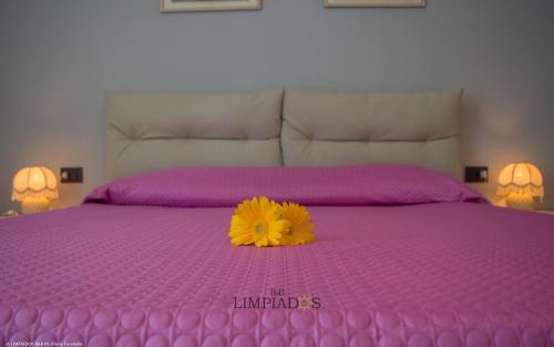 Postel nebo postele na pokoji v ubytování Limpiados Bed & Breakfast