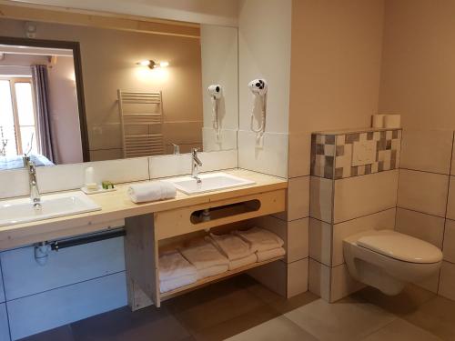 W łazience znajduje się umywalka, toaleta i lustro. w obiekcie Logis SPA Hotel Restaurant De La Poste w mieście Tence
