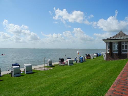 a row of chairs on a lawn next to the ocean at AKZENT Strandhotels Seestern, Delphin & Lachs in Wilhelmshaven