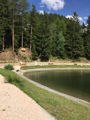 a body of water with trees in the background at Haus Auer in Jerzens