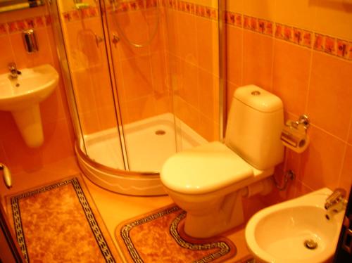 a bathroom with a shower and a toilet and a sink at Zolotoie Runo in Skhidnitsa