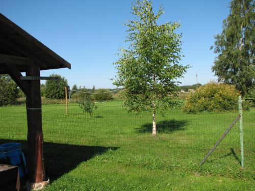 a tree in the middle of a field at Kolkja Holiday Centre in Kolkja