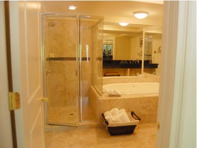 uma casa de banho com um chuveiro e um lavatório. em Inn at Arbor Ridge Hotel and Conference Center em Hopewell Junction