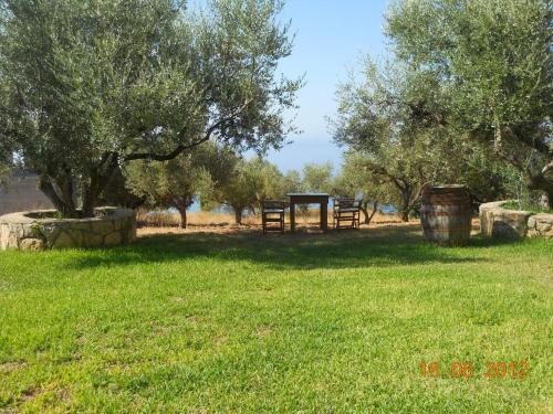Gallery image of Delfinia in Vlachata