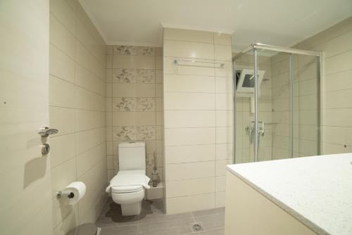 a bathroom with a toilet and a glass shower at Bella Mare Luxury Apartments in Kalamaki Heraklion