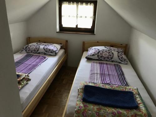 twee bedden in een kleine kamer met een raam bij Wine & Nature & Tour in Zgornji Leskovec