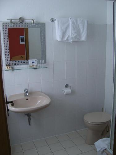 a bathroom with a sink and a toilet and a mirror at Zum Löwen in Bad Homburg vor der Höhe