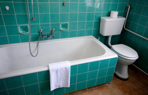 a bathroom with a bath tub and a toilet at Hotel am Bach in Hinterzarten