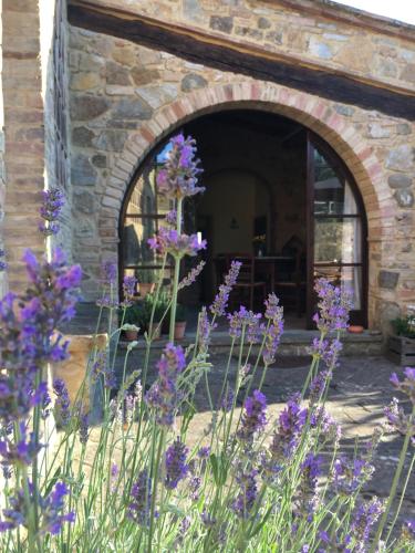 a bunch of purple flowers in front of a building at Case Nell' Aia in Poggibonsi