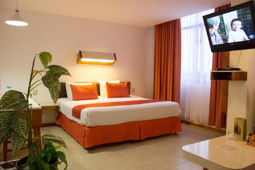Habitación de hotel con cama y TV de pantalla plana. en Hotel Enriquez, en Coatzacoalcos