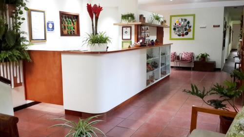 Gallery image of Hotel Arbol de Fuego in San Salvador