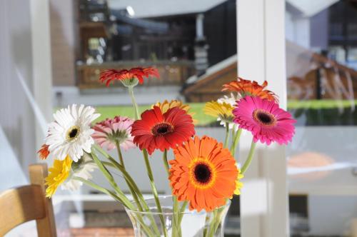Fotografie z fotogalerie ubytování Hotel Gädi v destinaci Grächen