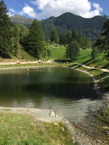 a body of water with trees and mountains in the background at Haus Auer in Jerzens