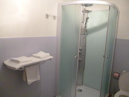 ein Bad mit einer Glasdusche und einem WC in der Unterkunft Hôtel Relais des Vosges in Monthureux-sur-Saône